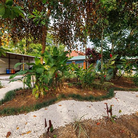 Rio Celeste Dreams Bijagua Εξωτερικό φωτογραφία